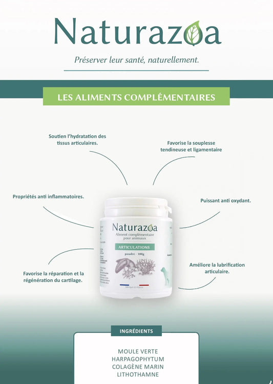 Complément Articulation Ma boutique