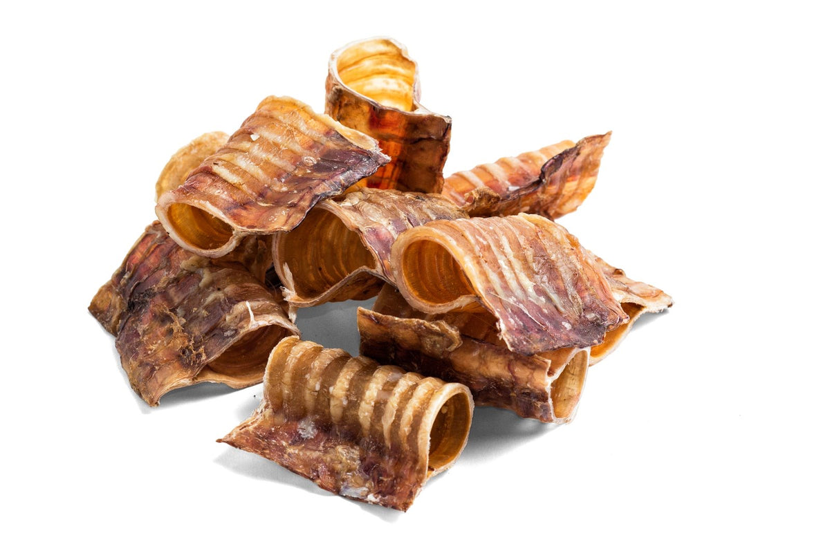 Trachée de boeuf
