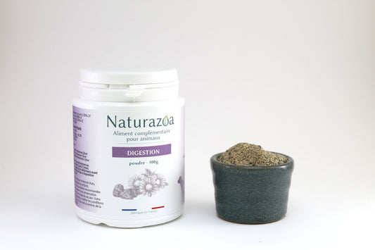 Complément Digestion