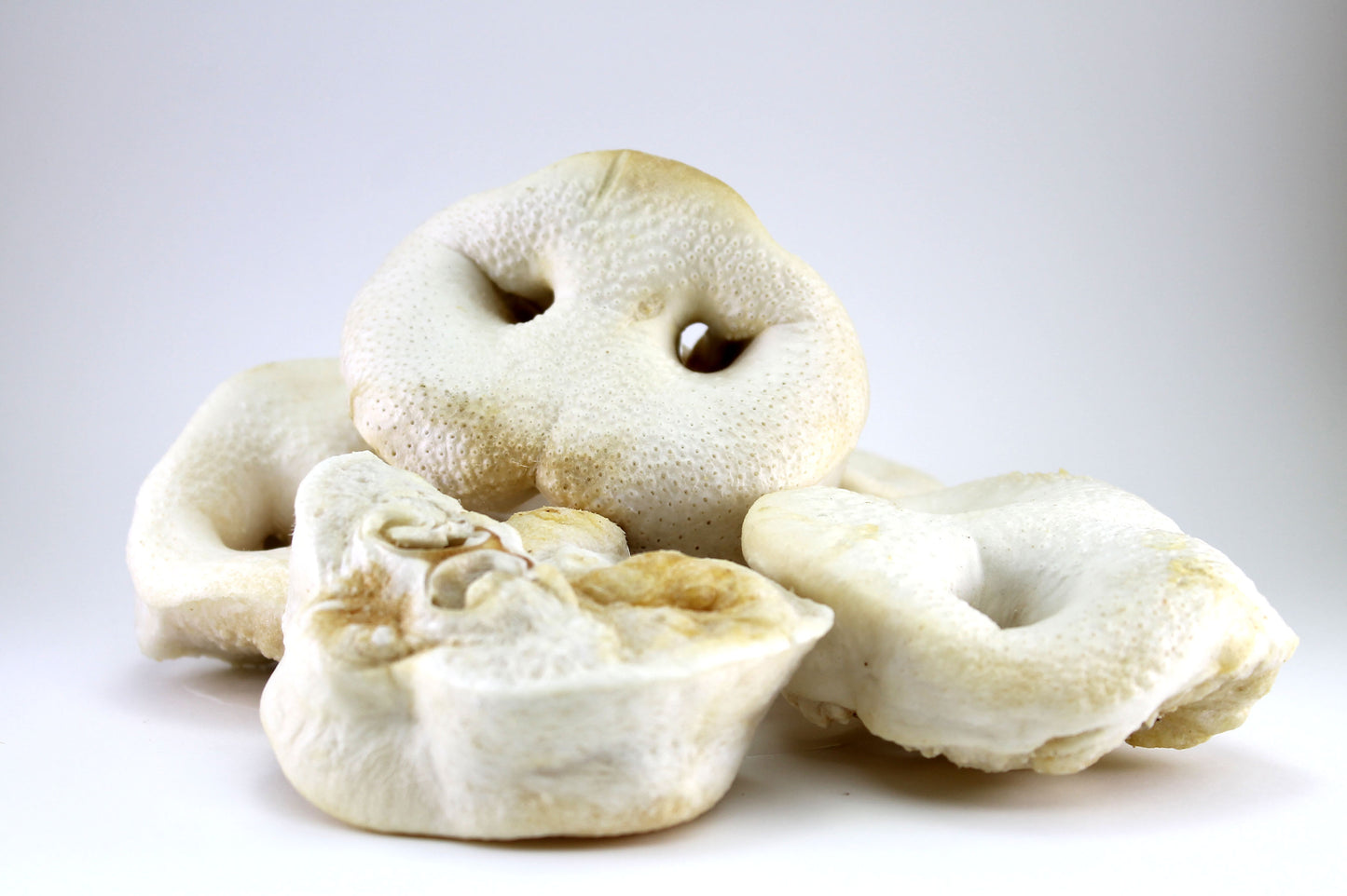 Lot de 5 Nez de Cochon Naturels