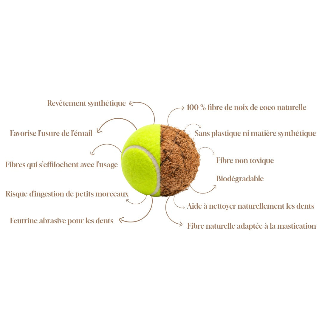 Comparatif balle en fibre de coco et balle de tennis pour chien — Naturazoa