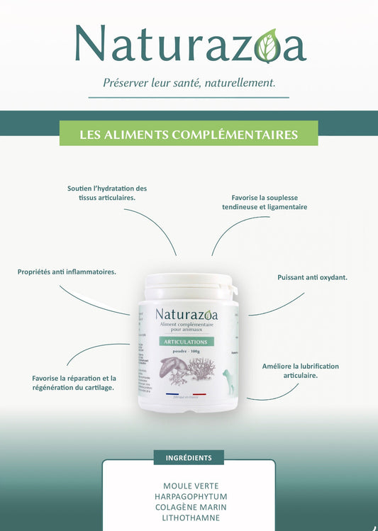 Complément Articulation