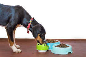 Changement d'alimentation
