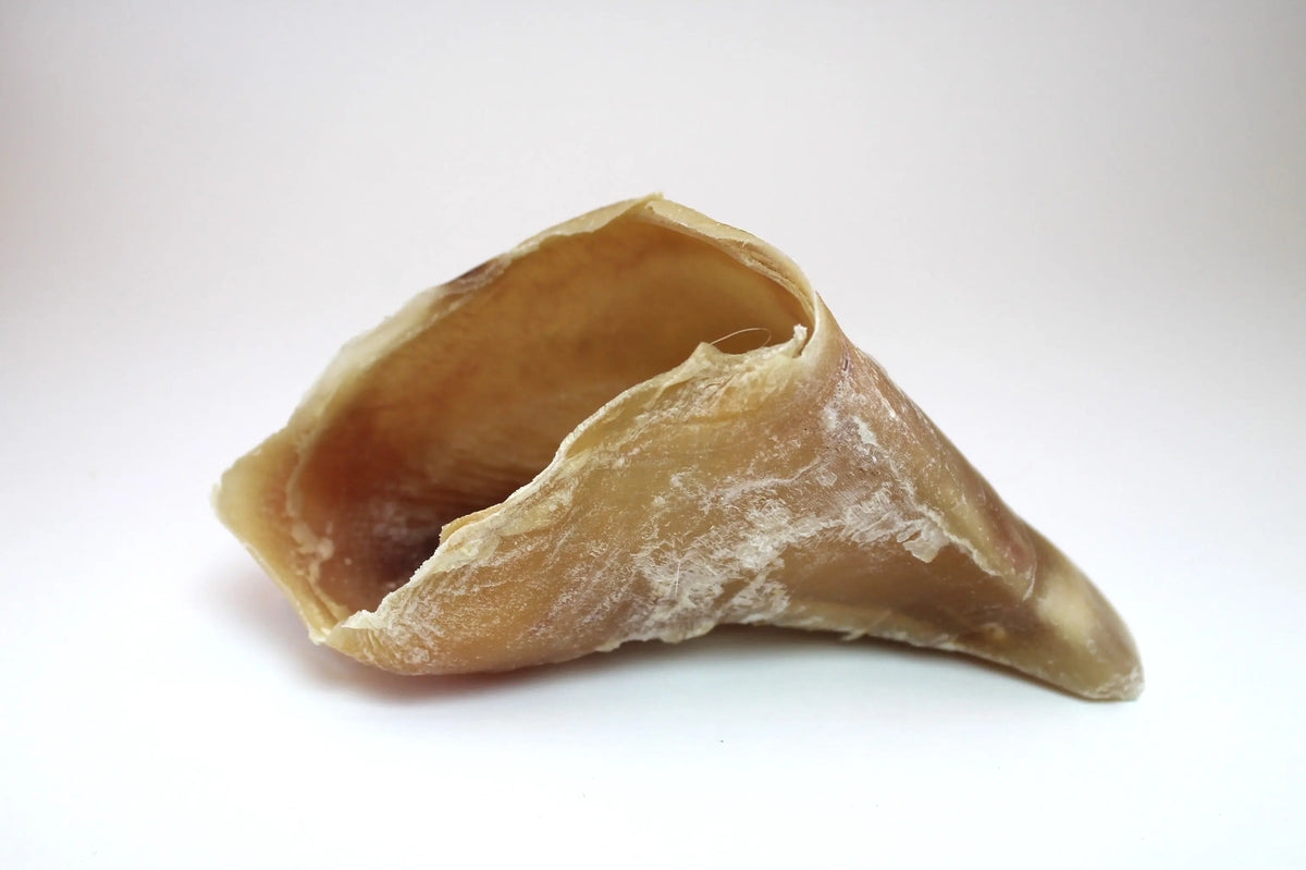 Sabots de veau naturels pour chien — friandise longue durée séchée — Naturazoa