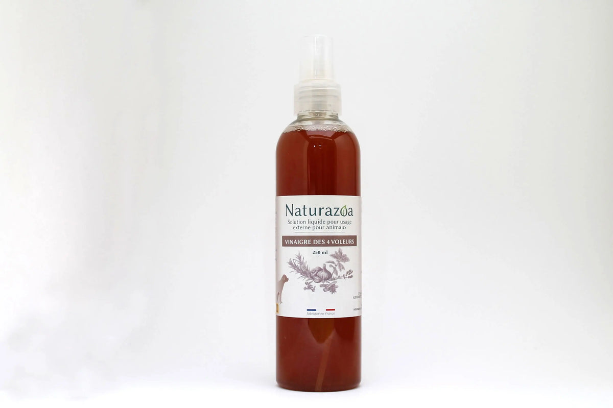 Vinaigre des 4 Voleurs antiparasitaire naturel chien chat — protection puces tiques — Naturazoa