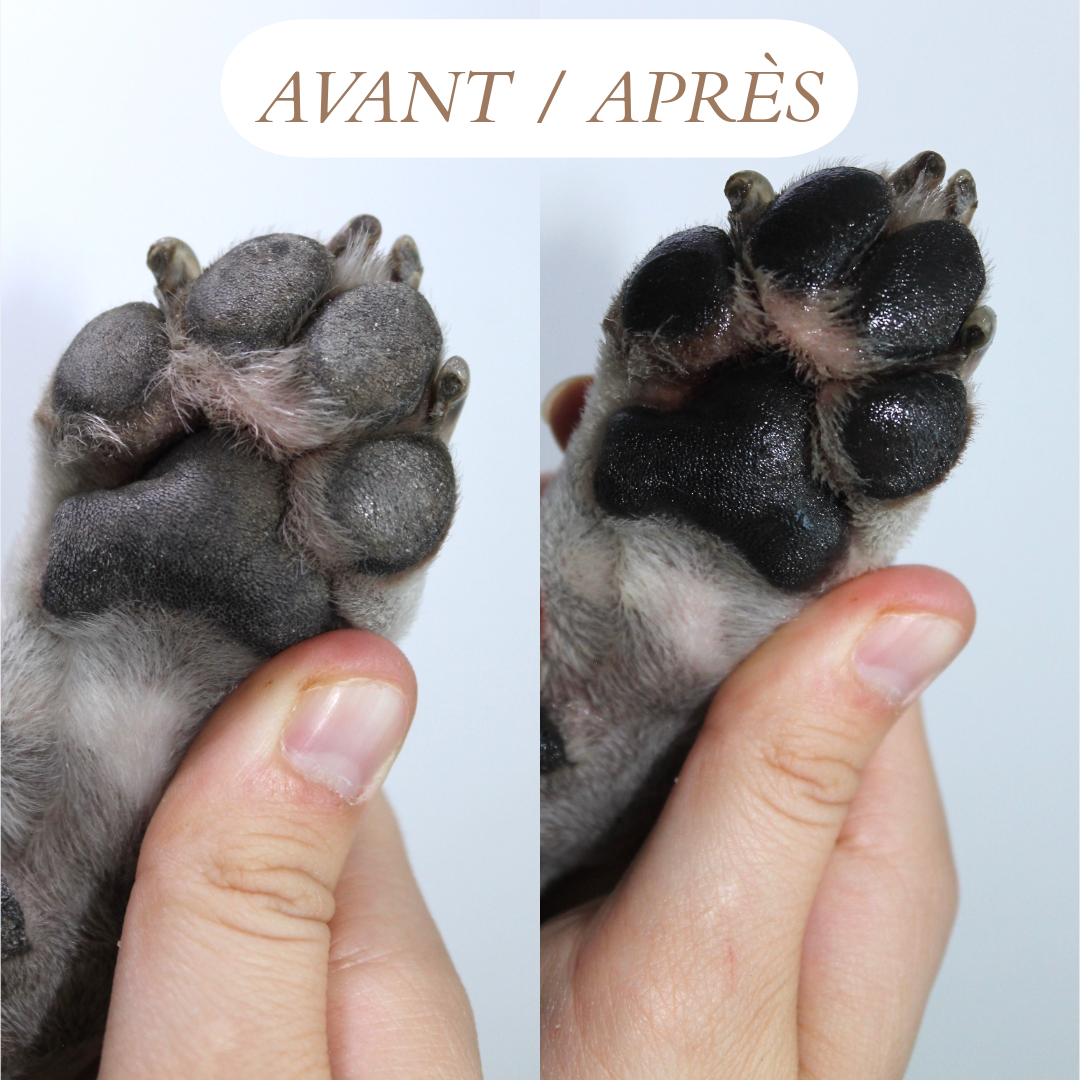 Baume coussinets et truffe