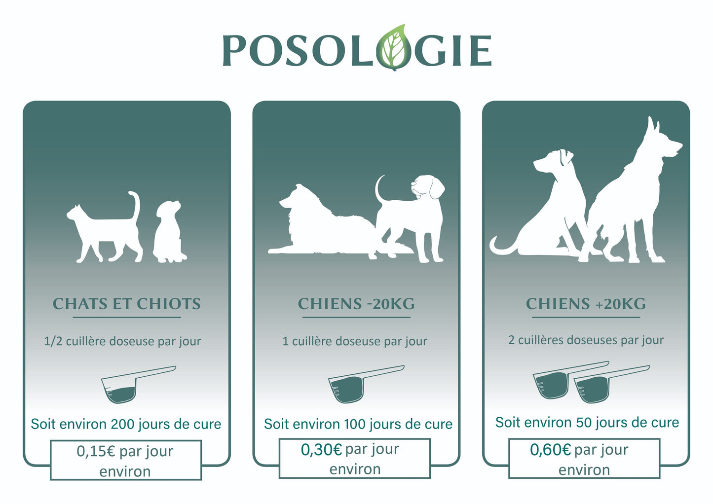 Complément Articulation