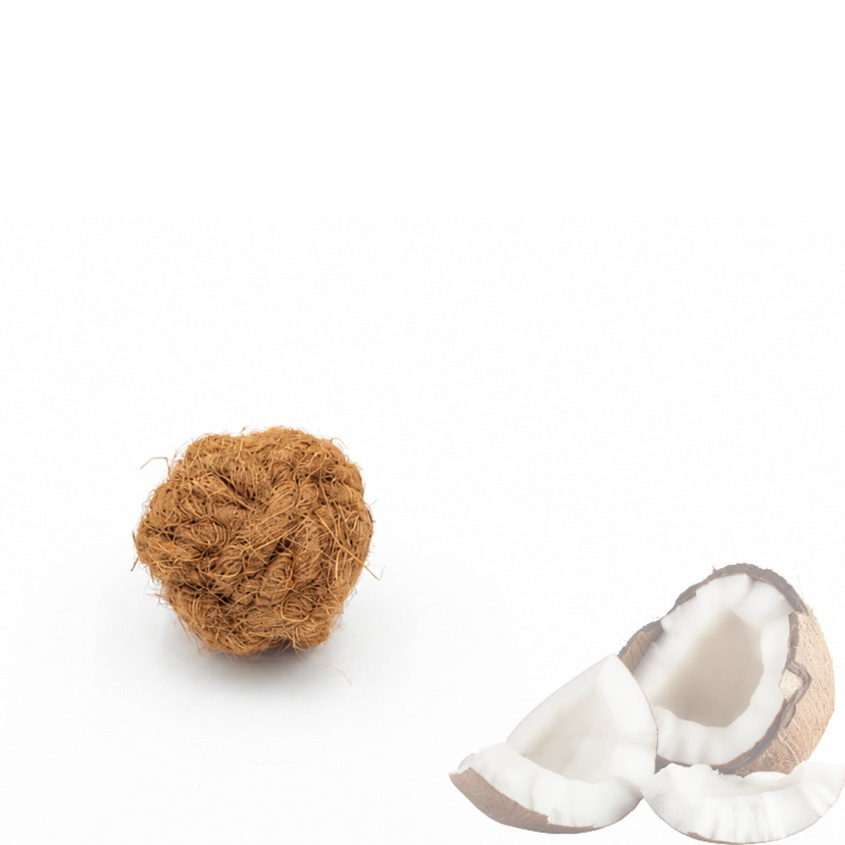 Balle en fibre de coco et noix de coco, jouet naturel pour chien — Naturazoa