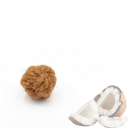 Balle en fibre de coco et noix de coco, jouet naturel pour chien — Naturazoa