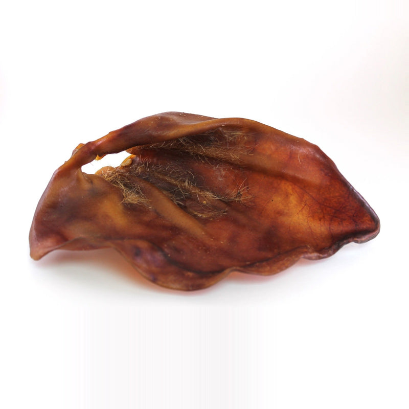 Lot de 4 Oreilles de porc naturelles