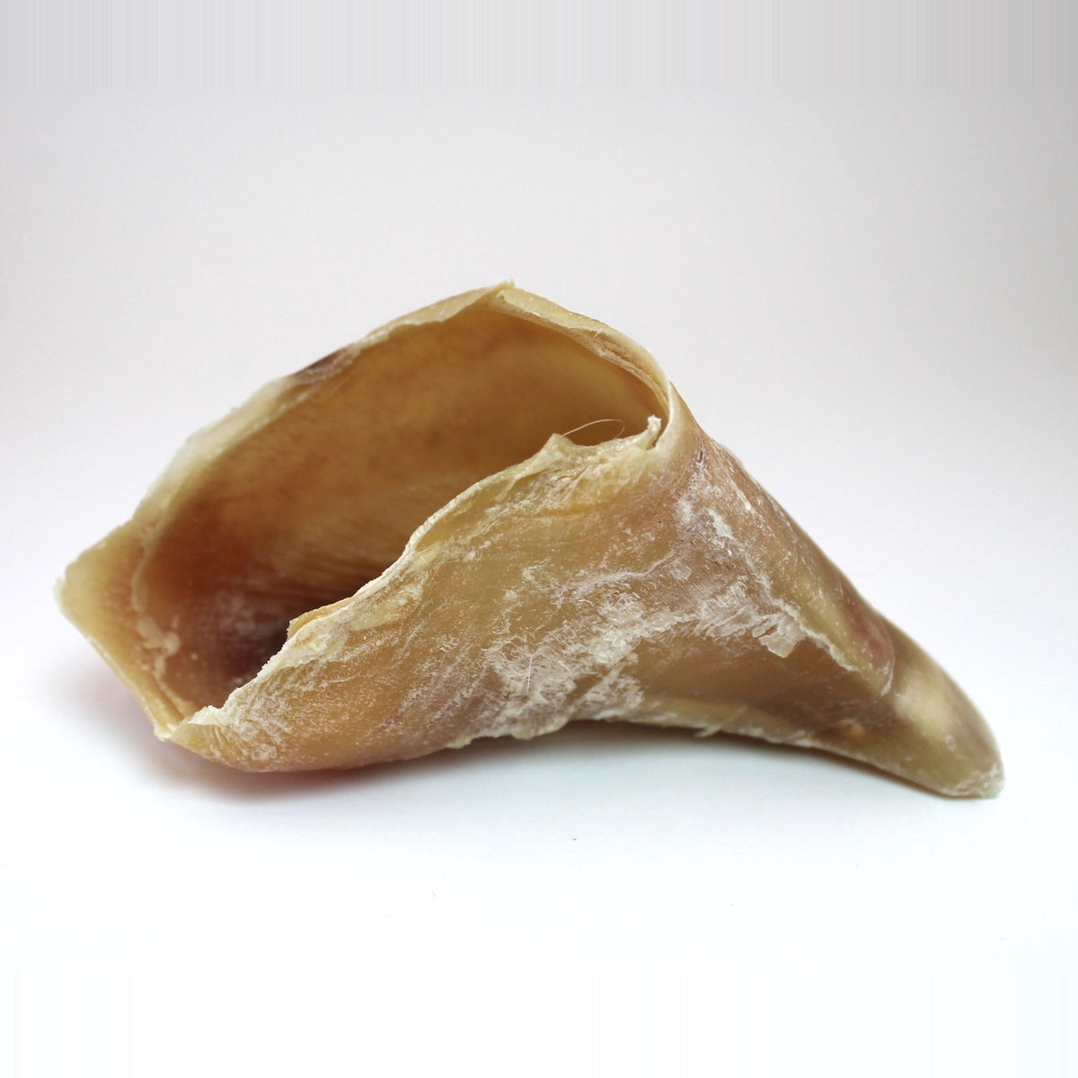 Sabot de veau séché vu de côté, mastication naturelle pour chien — Naturazoa