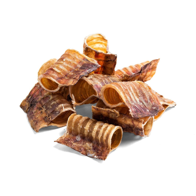 Trachée de boeuf